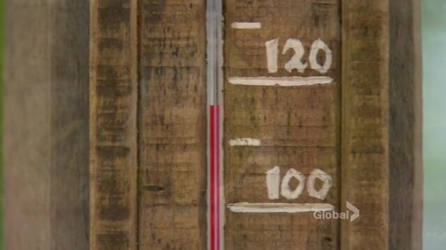File:Survivor.s27e14.hdtv.x264-2hd 0204.jpg