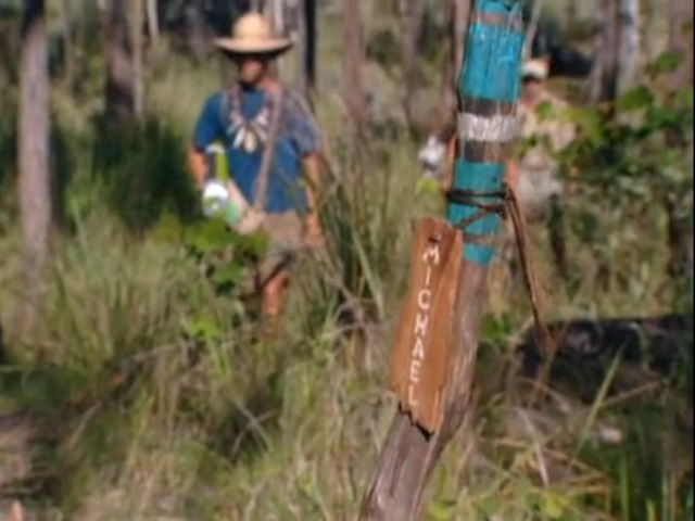 File:Michael torch.png