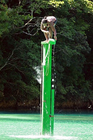 File:Cirie ladder.jpg