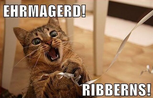 File:Cat memes 05-1-.jpg