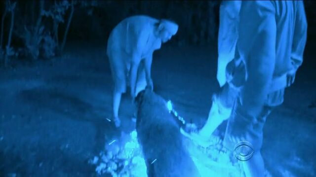 File:Survivor.s27e13.hdtv.x264-2hd 017.jpg