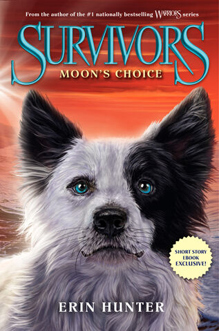 Datei:Moon's Choice.jpg