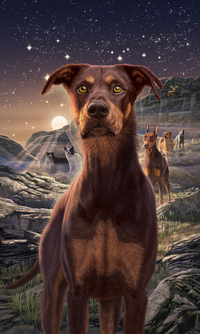 File:APD.textless.jpg