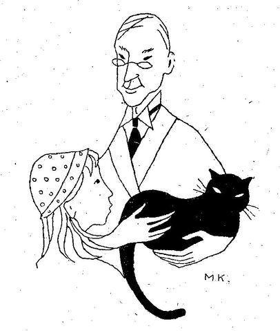 Fil:Katter 1.jpg