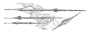 Baksida 5 1