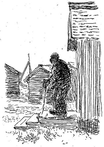 Fil:Bolle 2.jpg
