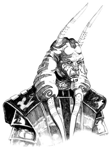 Datei:Junger Wyyrlok.jpg