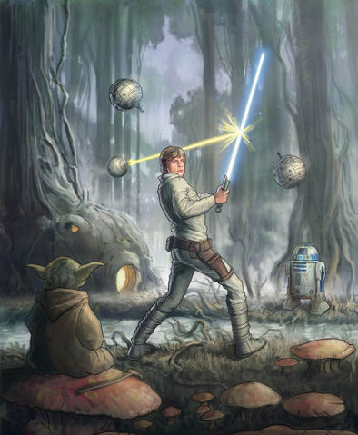 Datei:Dagobah Training.jpg