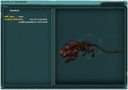 AncientXandank