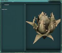 Rrwii Root SWG