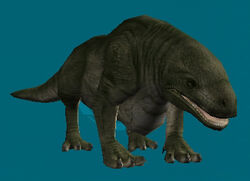 Dewback