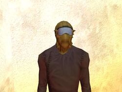Vendor goggles