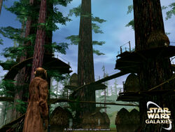 Ewok tree village