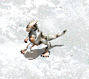Tauntaun