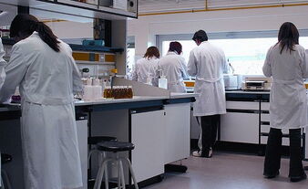 Scientists