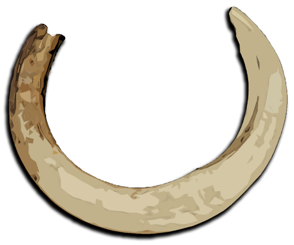File:Boar tusk.png