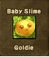 Goldie1