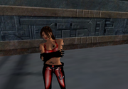 Snapshot 0099