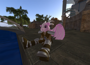 August220092 141