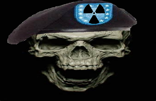 File:Black Beret Corp.png
