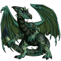 Image builder pet (3)-0