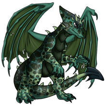 Draeyl male