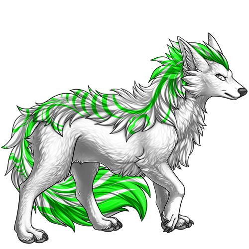 Image builder pet (5)