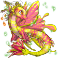 Image builder pet (27)
