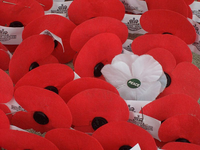 File:Anzac poppies.png