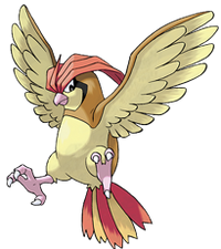 Pidgeotto