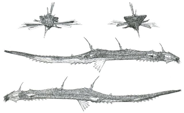 File:HydrusViews.jpg
