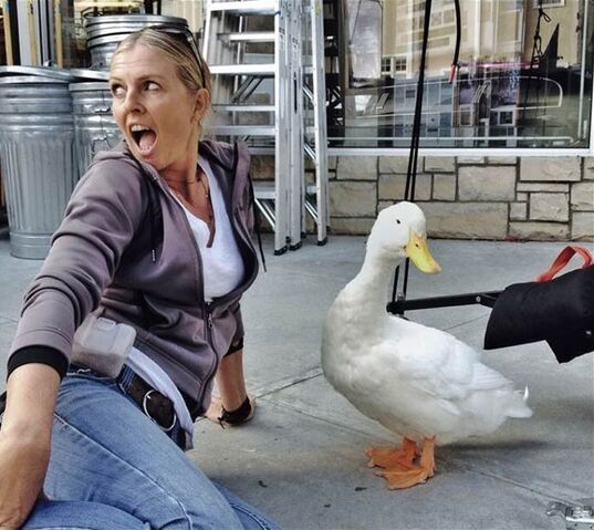 File:Sue-chipperton-aflac-duck.jpg