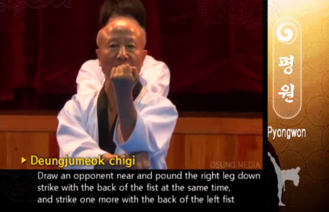 File:Pyngwon PullingBackfist.png