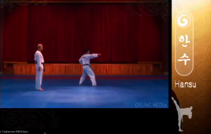 Hansoo26 KnifehandSideStrike