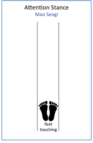 File:Attention Stance ft.png