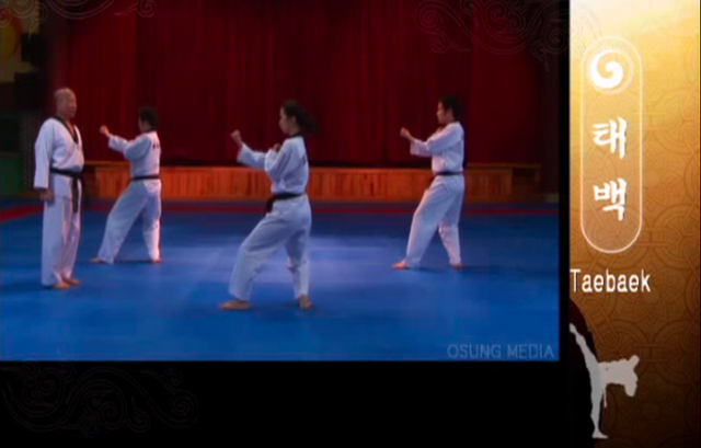 File:Taebaek HighPullingUppercut.png
