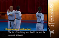 T7 OutwardBackfistChamber