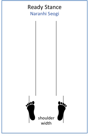 File:Ready Stance.png