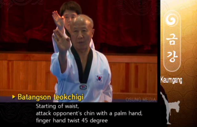 File:Keumgang PalmheelJawStrike.png