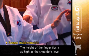 T3 KnifehandBlock2