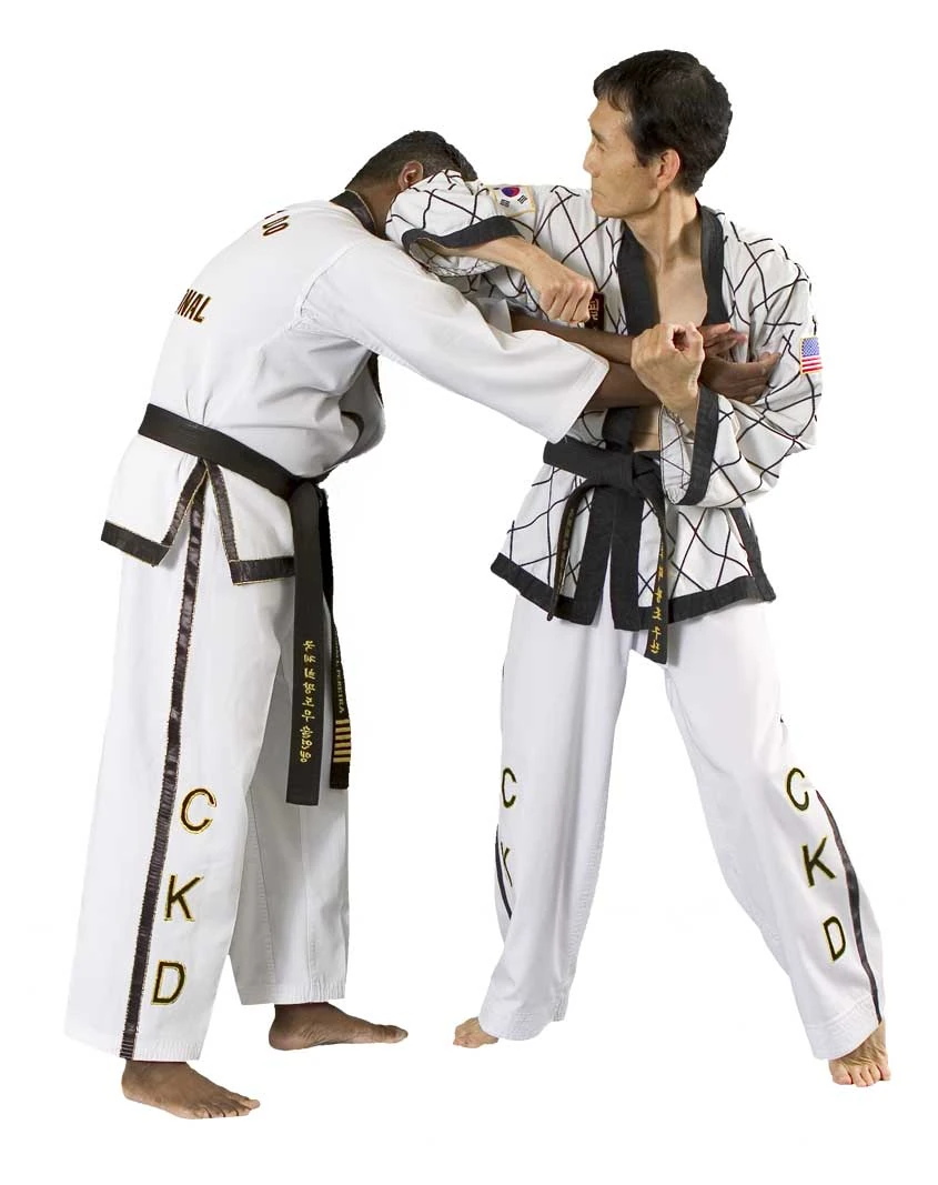 Korean martial arts Taekwondo Wiki FANDOM powered by Wikia