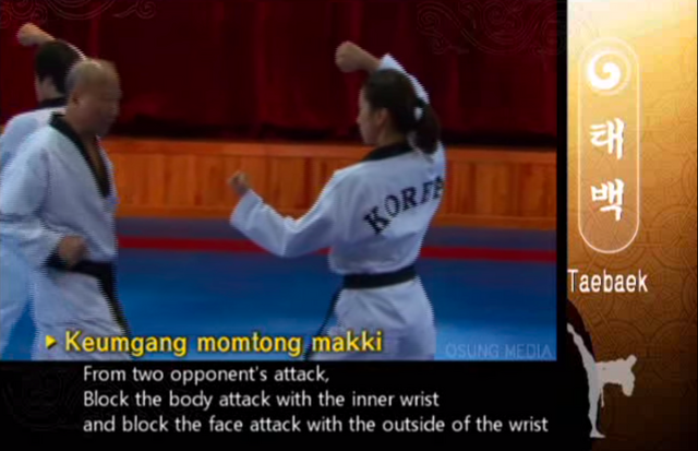 File:Taekbaek DiamondBlock.png