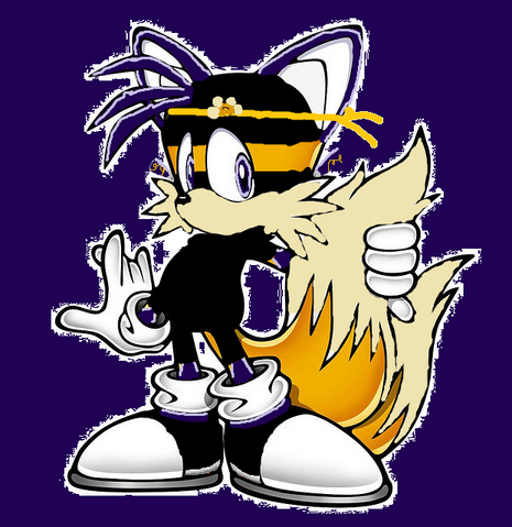 Datei:Ninja tails.png