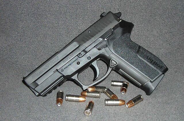 File:800px-SIGPRO SP2022.jpg