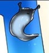 Black Water Slug