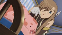 Tear and a pig