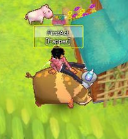 Farm 6