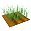 檔案:蔥田.png
