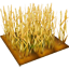 檔案:小麥田.png