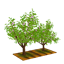 檔案:水蜜桃田.png